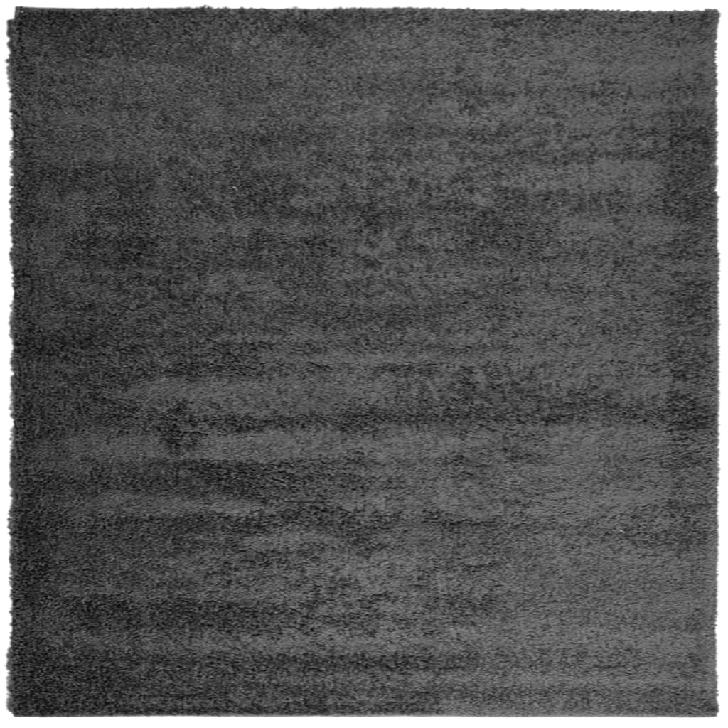VIDAXL RUAM PAMPLONA SHAGGY ALTAMENTE POLE 240X240 CM Antracite