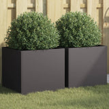 Vidaxl Planters 2 ST 42x40x39 CM Svart