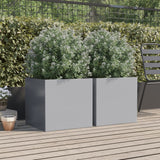 Vidaxl Planters 2 st 49x47x46 cm Galvanized steel silver color