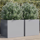 Vidaxl Planters 2 st 49x47x46 cm Galvanized steel silver color
