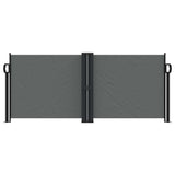 VidaXL Windshield Extendable 100x600 cm Anthracite