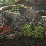 Vidaxl Lava stones 10 kg 10-30 cm Black