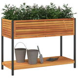 Vidaxl Planter med hylde 110x45x80 cm fast acacia træ og stål