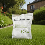 Vidaxl græsfrø 10 kg