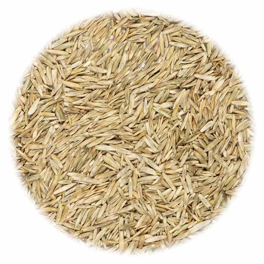 Vidaxl Grass Seed 15 kg