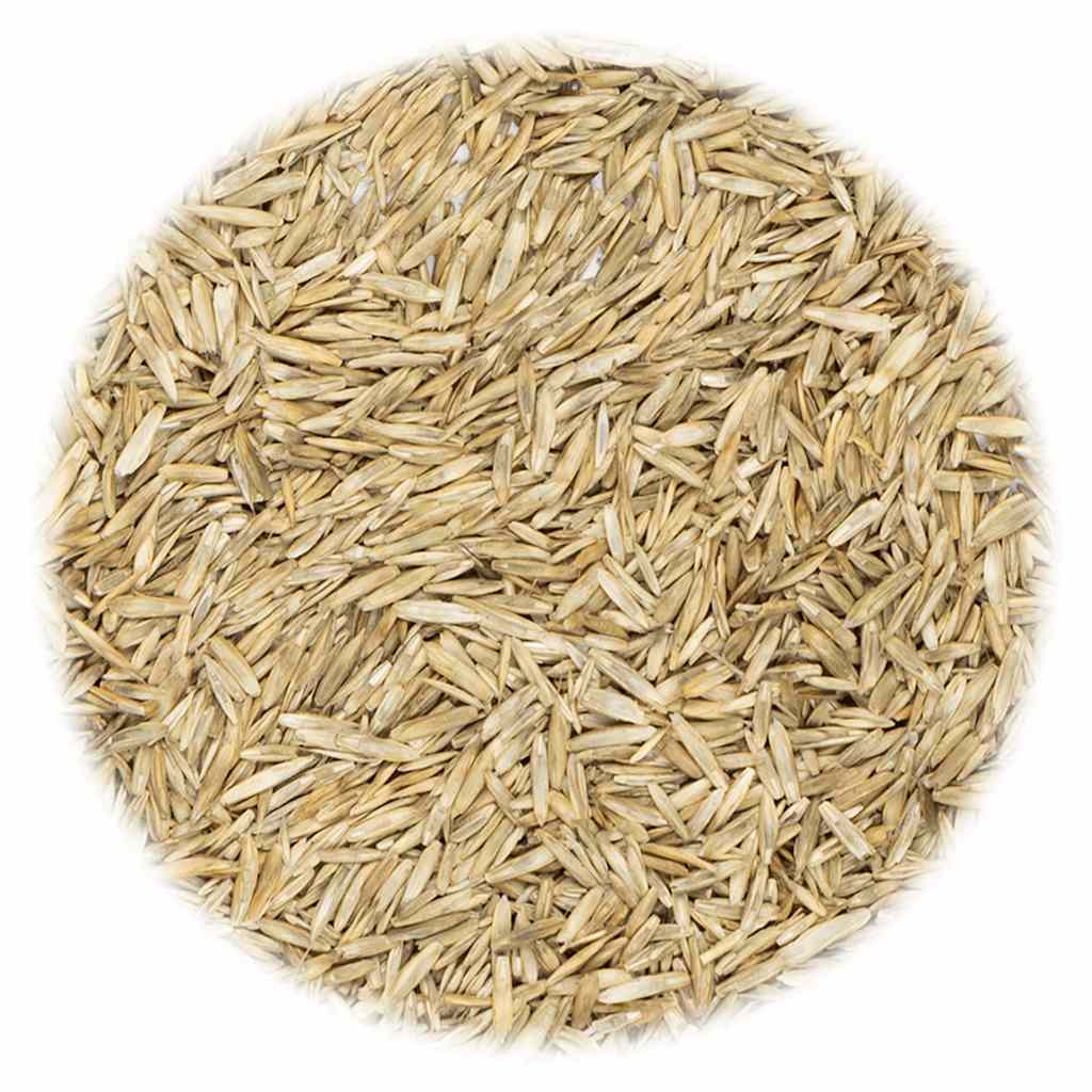 Vidaxl Grass Seed 20 kg