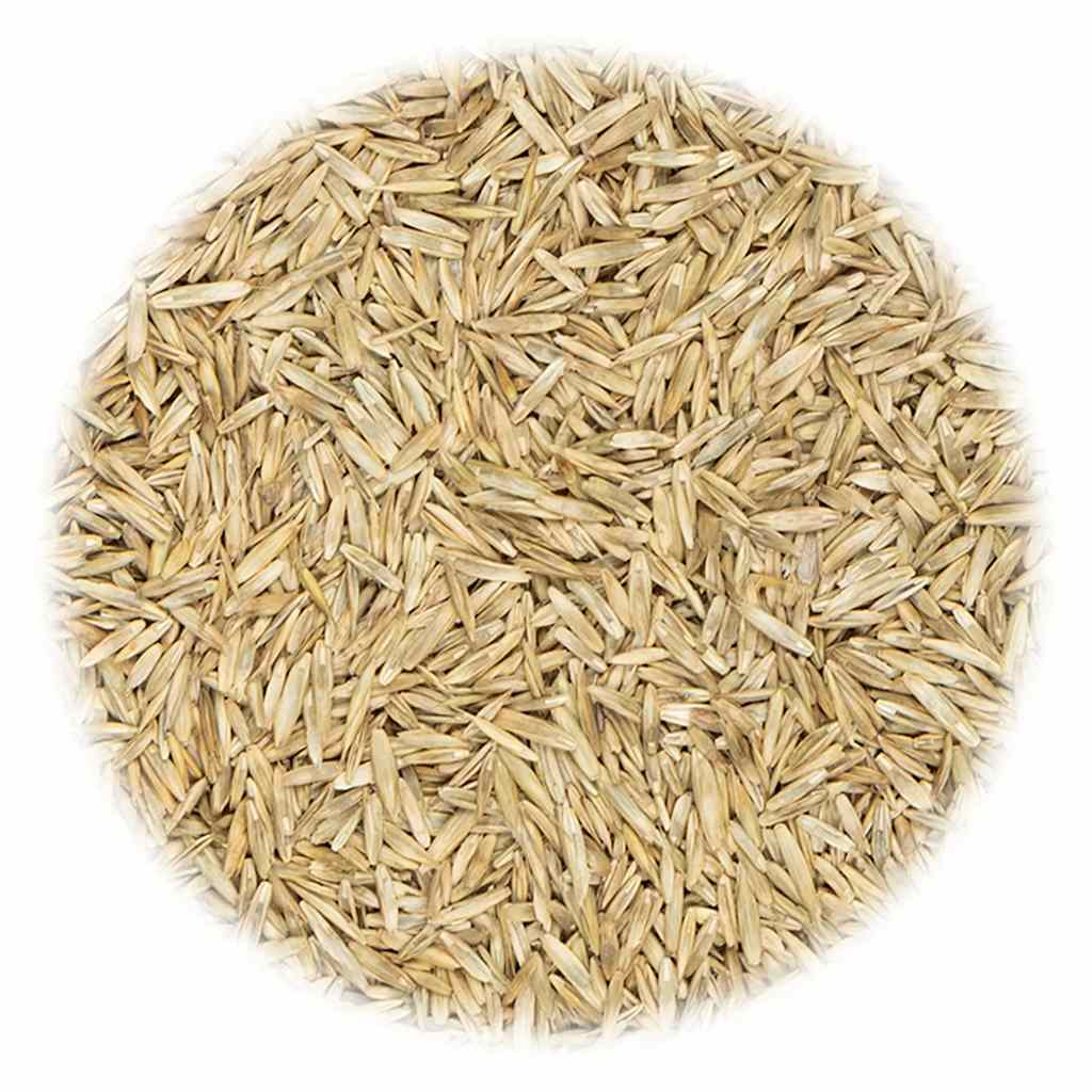 Vidaxl Grass Seed for Sport et Spel 10 kg