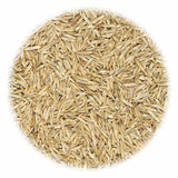 Vidaxl Grass Seed for Sport et Spel 10 kg