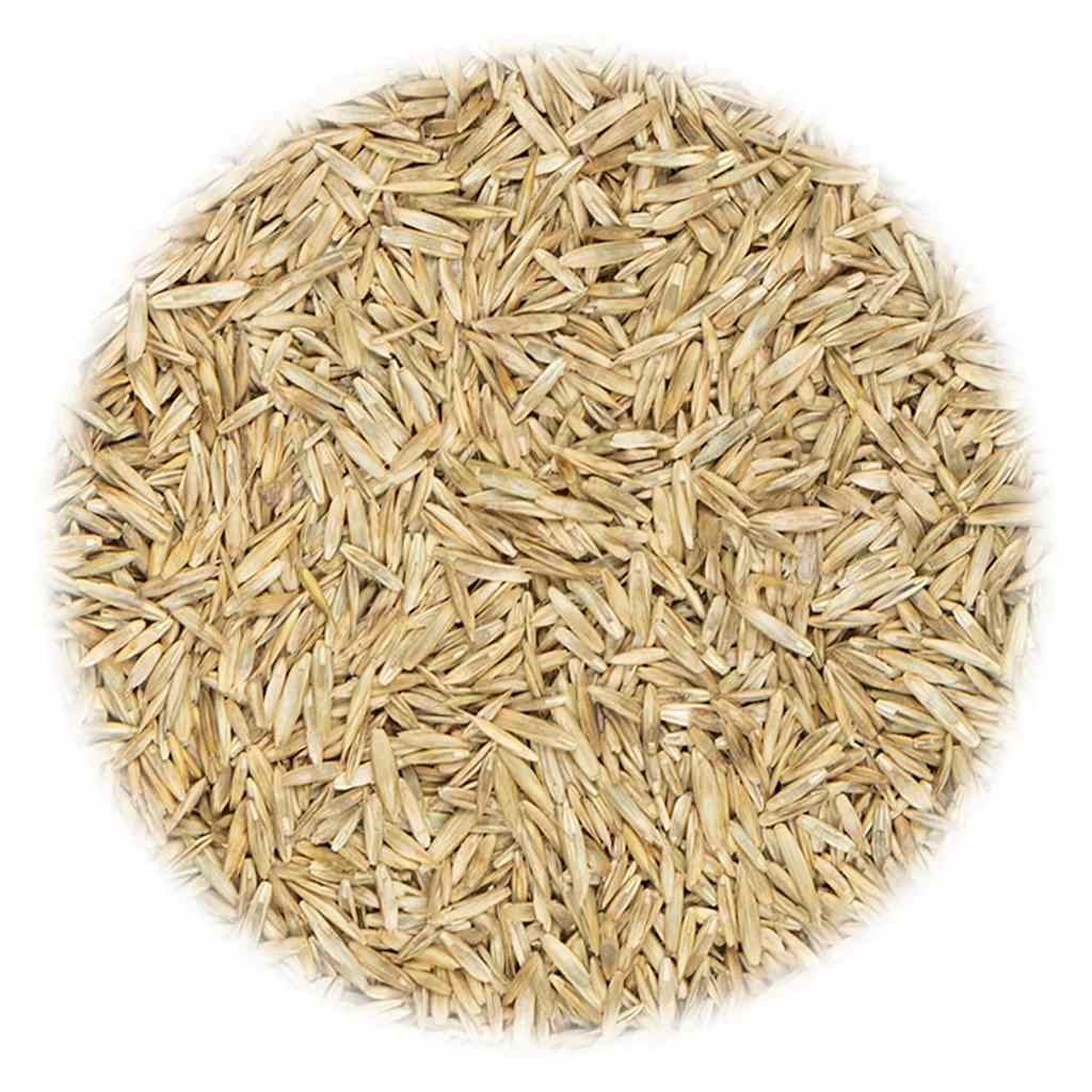 Vidaxl Grass seed for sports and game 15 kg