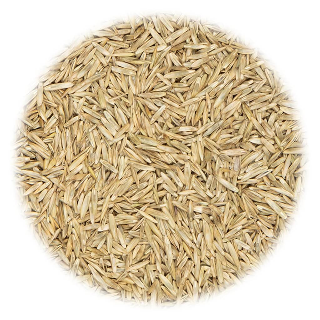 Vidaxl Grass seed for sports and game 30 kg