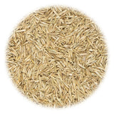 Vidaxl Grass seed for sports and game 30 kg