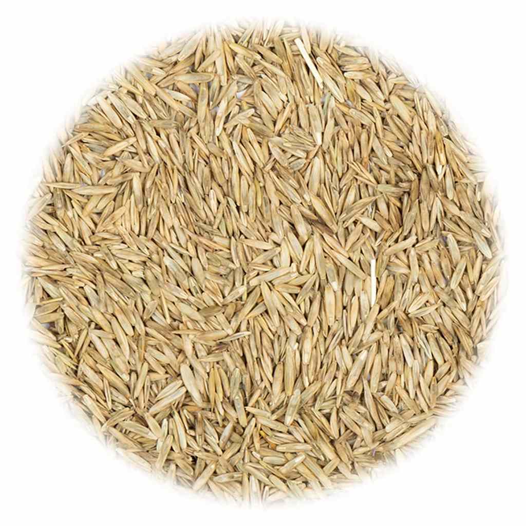 Vidaxl Grass Graine pour la sécheresse et la chaleur 15 kg