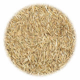 Vidaxl Grass Graine pour la sécheresse et la chaleur 15 kg