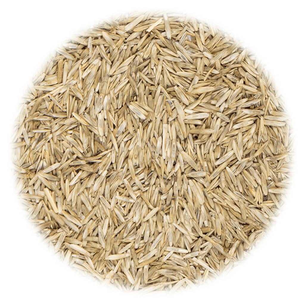 VidaXL Grass seed for field and pasture 10 kg