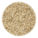 VidaXL Grass seed for field and pasture 10 kg