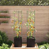 Vidaxl tomatbur med plantepose 2 st 154 cm stål og polypropen