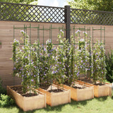 Vidaxl Tomato Cage 8 ST 154 cm de acero y polipropeno