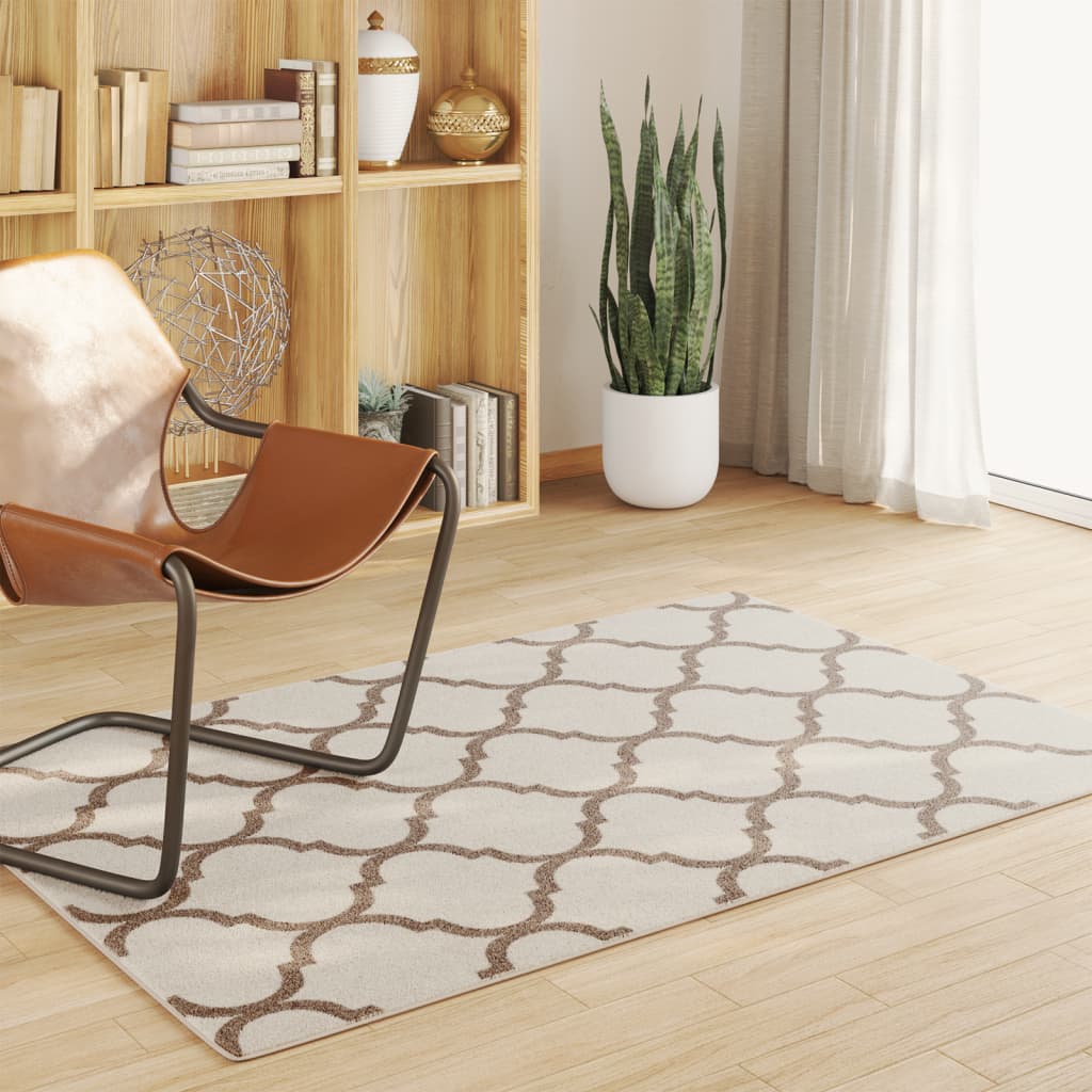 Vidaxl Rug fir bannen baussenzege Low -pole 120x180 cm Multi -Colored