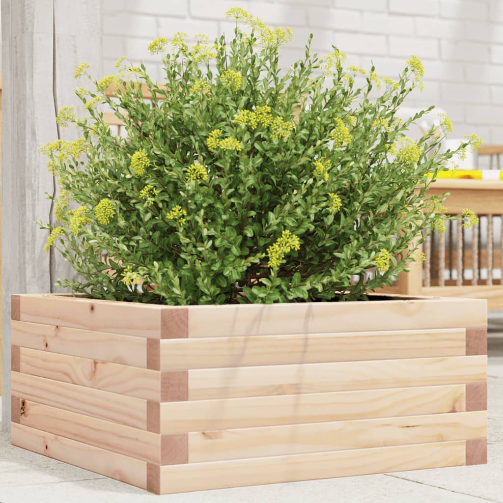 Vidaxl Planning box 50x50x23 cm Solid pine