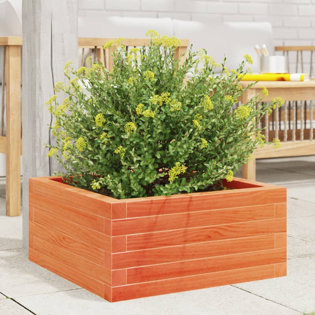 Vidaxl Planning Box 60x60x23 cm Solid fyrretræbrun