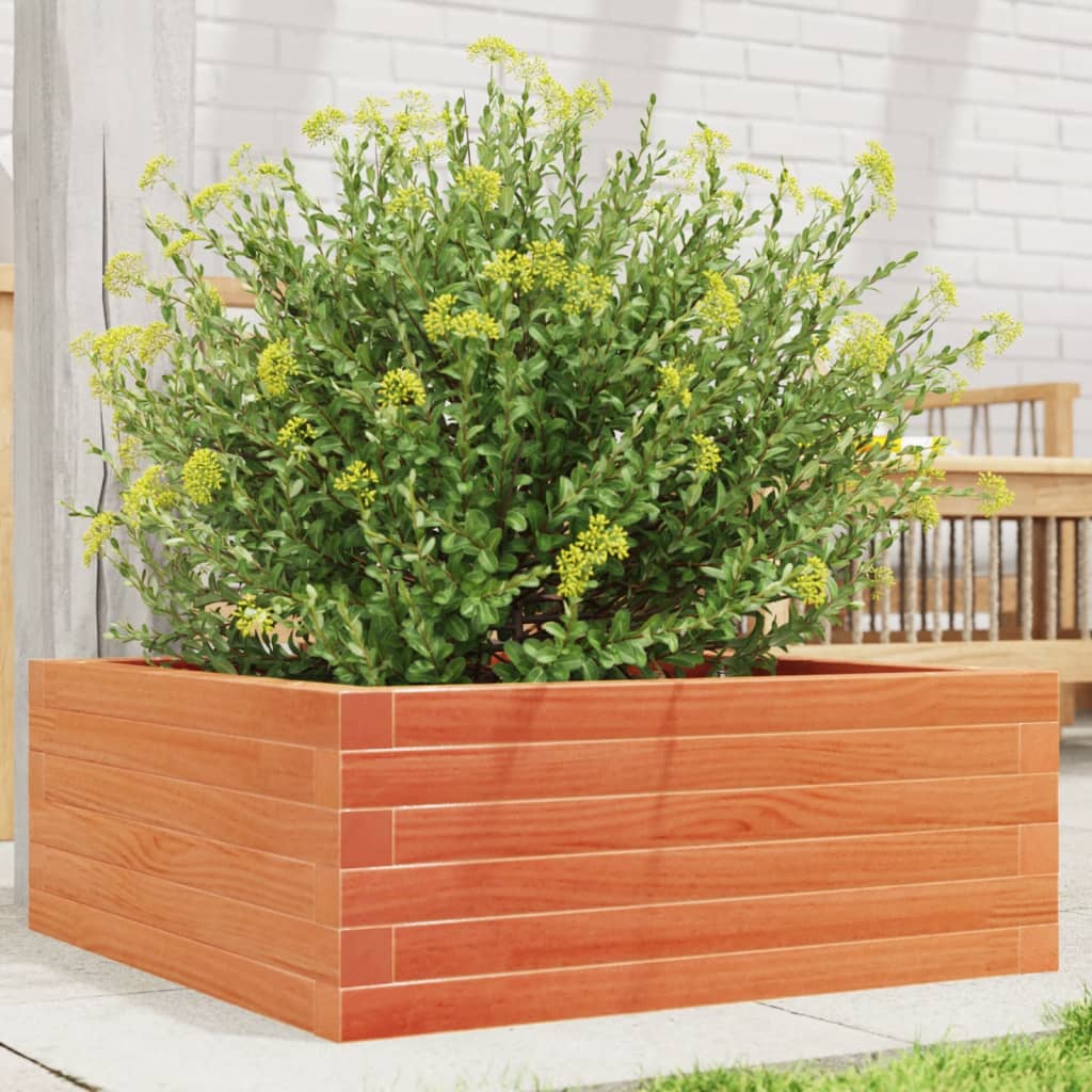 Vidaxl Planning Box 60x60x23 cm Solid fyrretræbrun