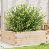 VidaXL Planning box 70x70x23 cm Solid pine