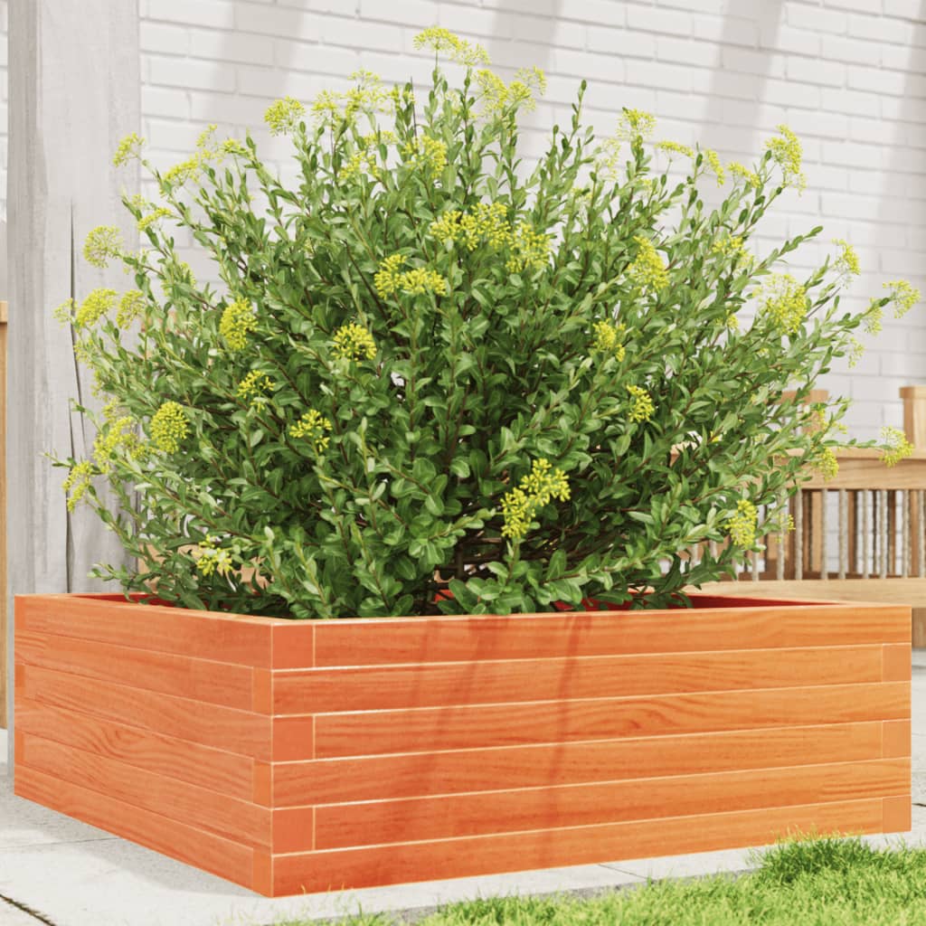 Vidaxl Planning Box 70x70x23 cm Solid fyrretræbrun