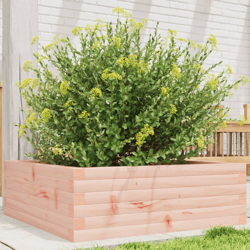 Vidaxl Planter Big 70x70x23 cm solid Douglashout