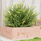 Vidaxl Planter Big 70x70x23 cm solid Douglashout