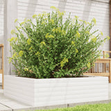 Vidaxl Planungbox 80x80x23 cm feste Péiere wäiss