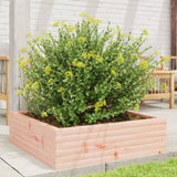 Vidaxl Planungbox 80x80x23 cm Soluglashout