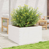 Vidaxl Planning Box 80x80x45,5 cm pevná borovice bílá