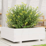Vidaxl Planung Këscht 70x7026.5 cm feste Péiere wäiss