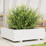 Vidaxl Planungbox 80x80x26.5 cm folitt Wäiss