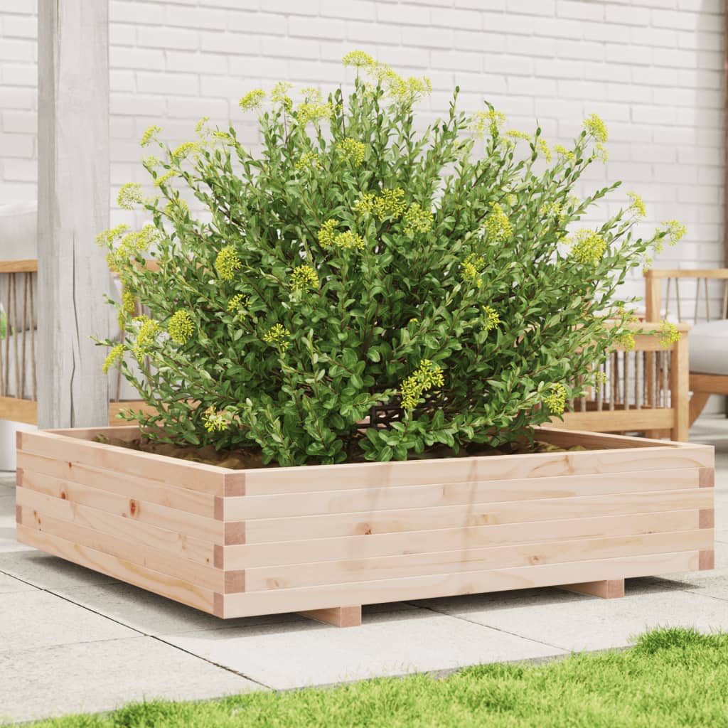 Vidaxl Planter 100x100x26,5 cm trden bor