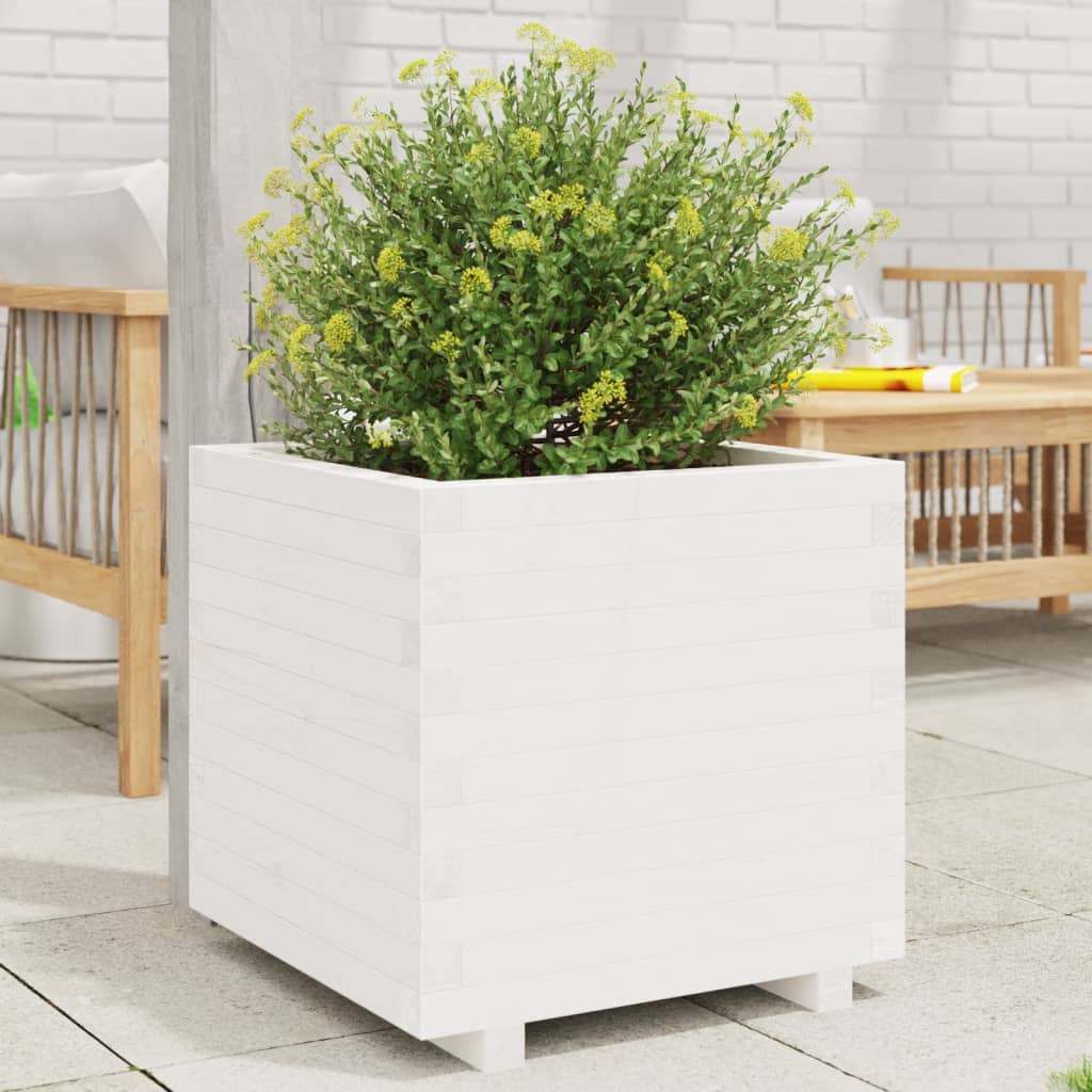 Vidaxl Načrtovanje škatle 50x50x49,5 cm trden borov beli