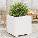 Vidaxl Načrtovanje škatle 50x50x49,5 cm trden borov beli