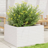 Casella di pianificazione Vidaxl 80x80x46 cm Pino solido