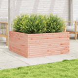 Casella di pianificazione Vidaxl 100x100x46 cm Douglashout solido