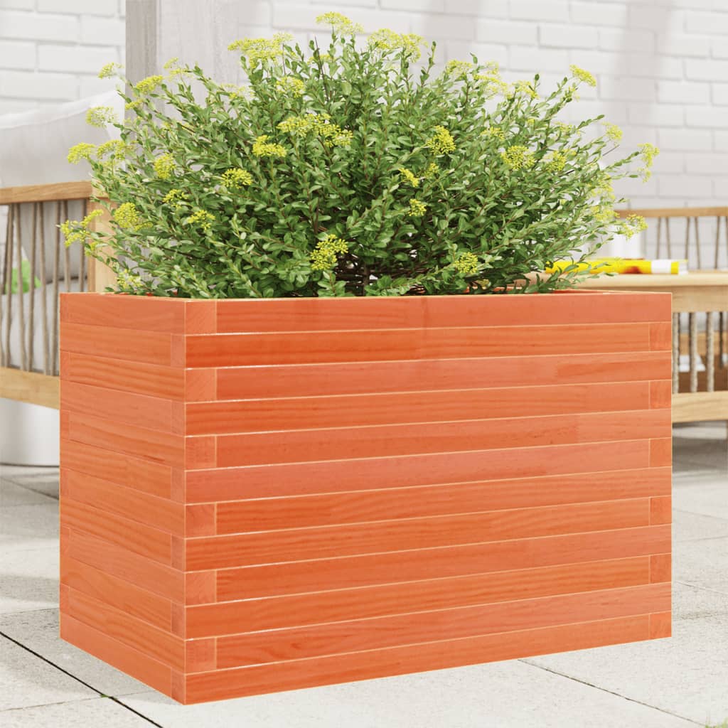 Casella di pianificazione Vidaxl 70x40x46 cm Pinna solida marrone