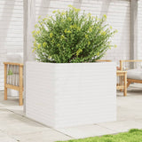 Casella di pianificazione Vidaxl 80x80x68.5 cm Pino solido