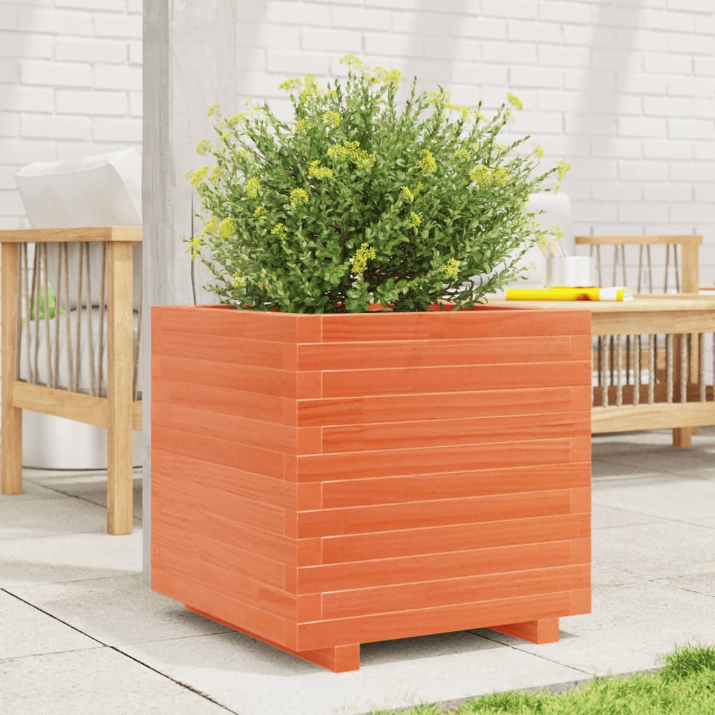 Plánovací box Vidaxl 50x50x49,5 cm pevná borovice promývá hnědá