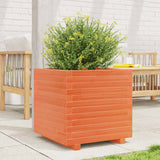 Plánovací box Vidaxl 50x50x49,5 cm pevná borovice promývá hnědá