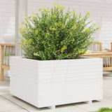 Vidaxl Planning Box 80x80x49,5 cm pevná borovice bílá