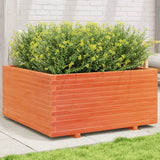Plánovací box Vidaxl 100x100x49,5 cm pevná borovice promývá hnědá