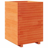 Casella di pianificazione Vidaxl 50x50x72.5 cm Pinna solida marrone
