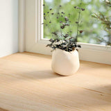 Vidaxl window sills 2 st untreated 70x15x2 cm solid oak