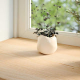 Alféizares de ventana Vidaxx 2 piezas roble macizo sin tratar 90x20x2 cm