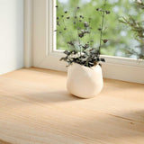 Alféizares de ventana Vidaxx 2 piezas roble macizo sin tratar 160x25x2 cm