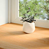 Okenske prage Vidaxl 2 St 70x15x2 cm trden hrast svetlo rjava